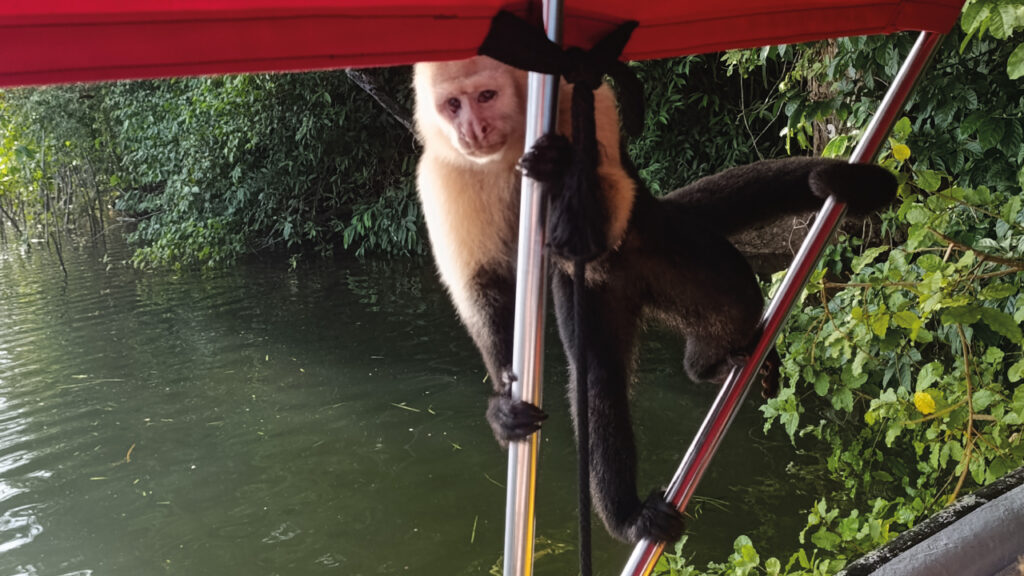 Escogidas-para-publicar-1