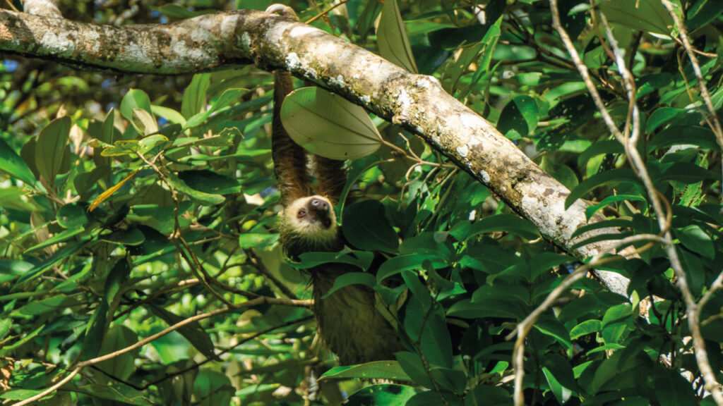 Escogidas-para-publicar-10