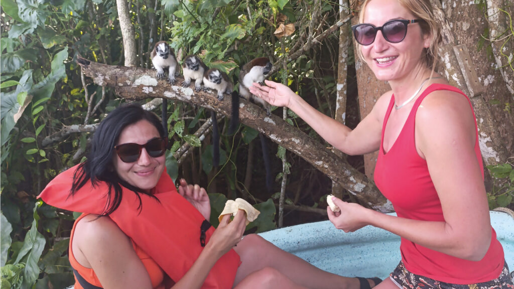 Escogidas-para-publicar-2