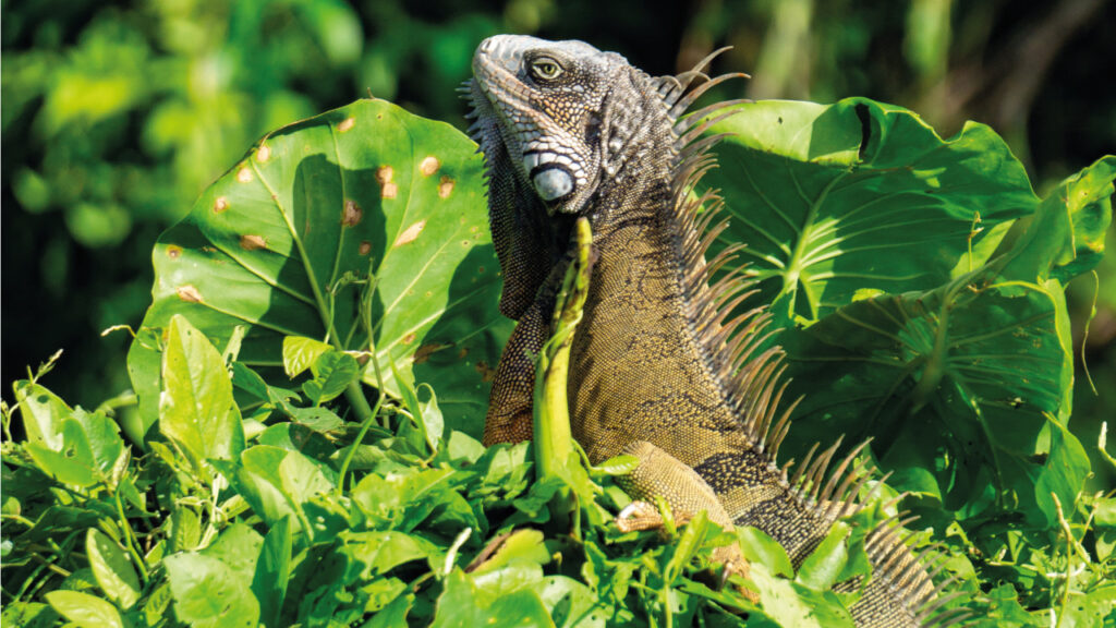 Escogidas-para-publicar-22