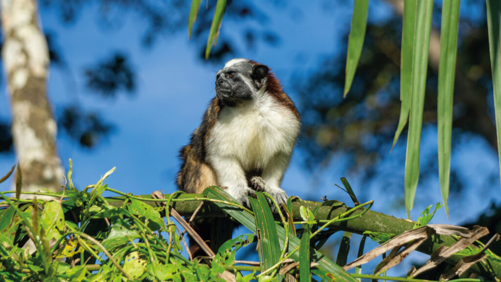 Escogidas-para-publicar-3