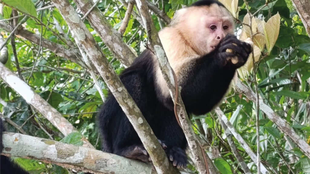 Escogidas-para-publicar-6