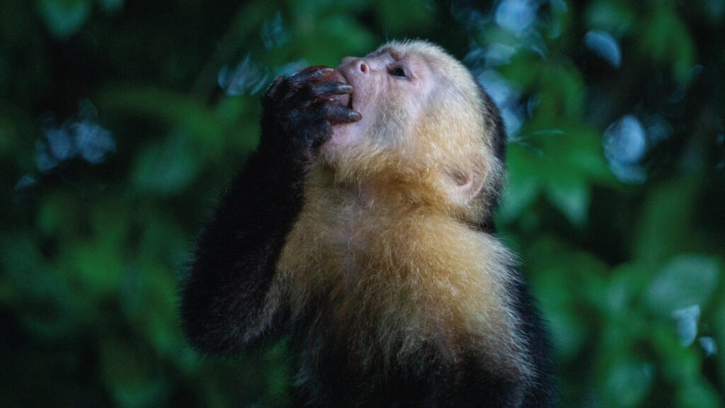 Escogidas-para-publicar-8