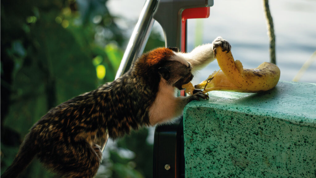 Escogidas-para-publicar-9